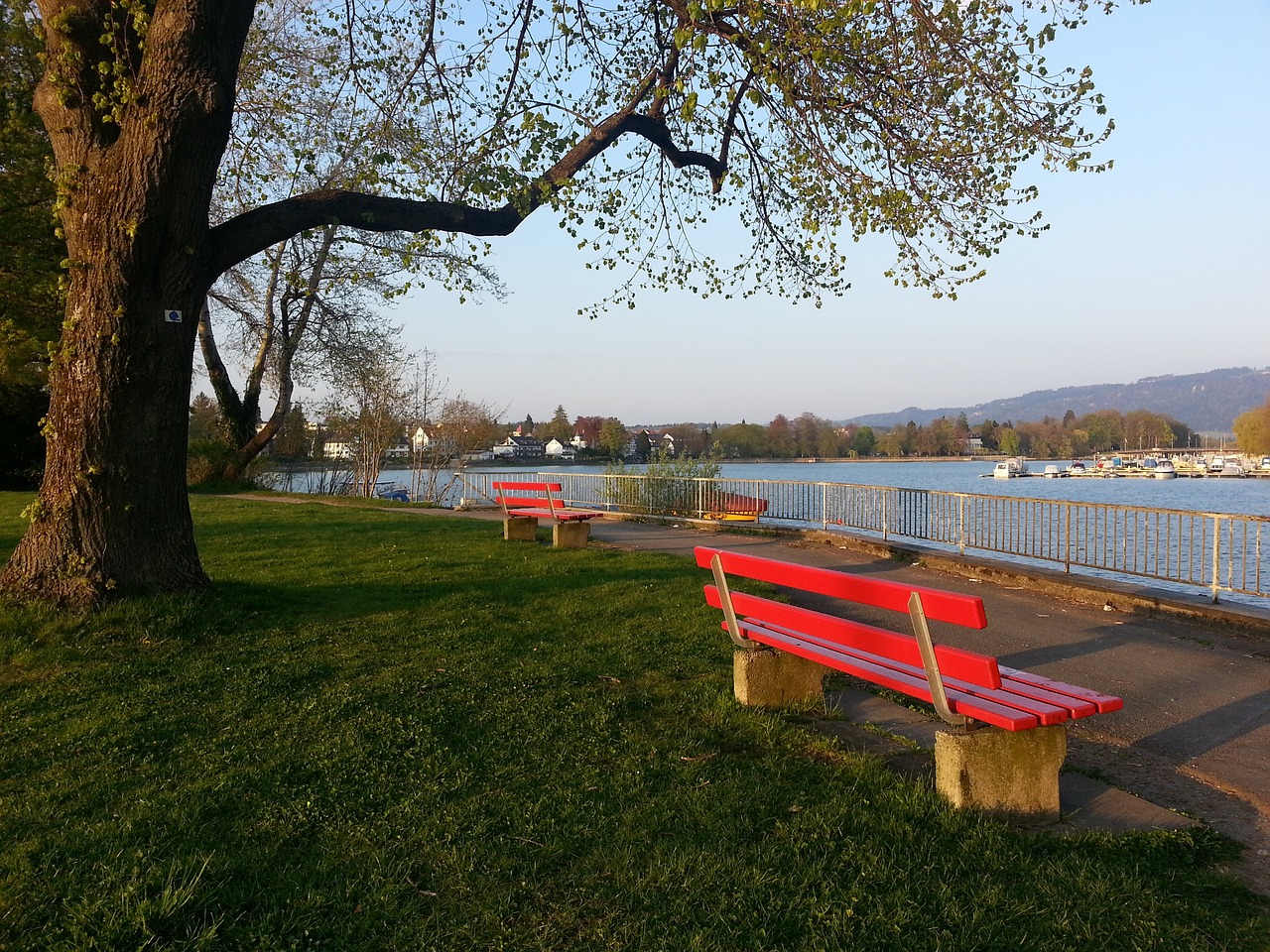 让青少年在 让青少年在
