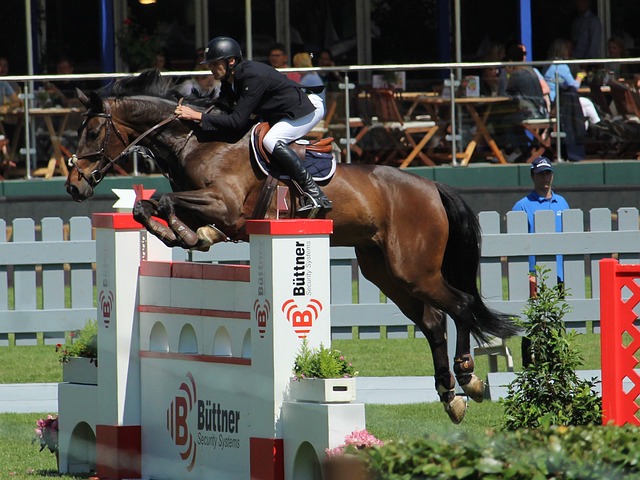 是巴萨防线 是巴萨防线