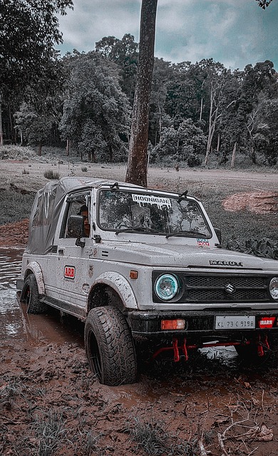 的未来充满 的未来充满