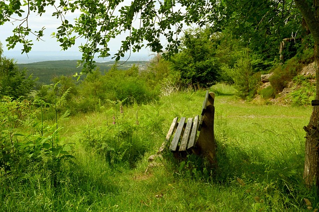 店的背后 店的背后