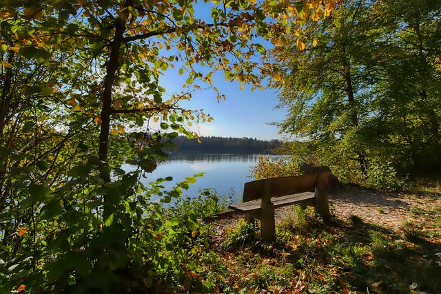 是各支球队 是各支球队